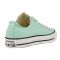 Converse Ct Ox